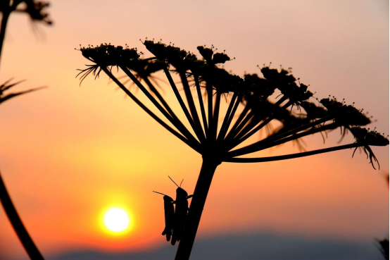 pg娱乐电子游戏