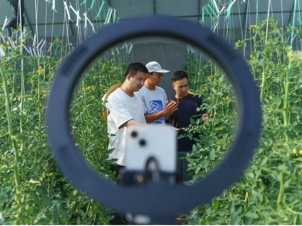 pg娱乐电子游戏