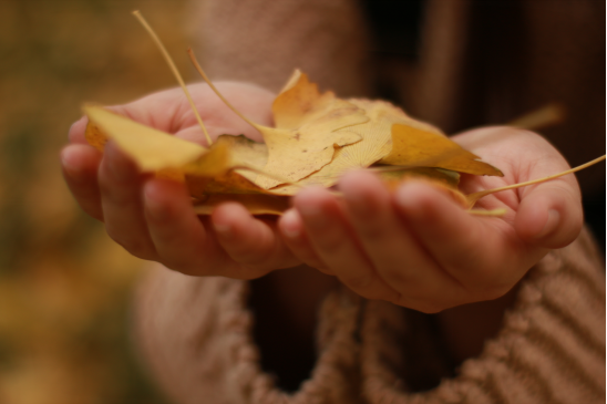 pg娱乐电子游戏