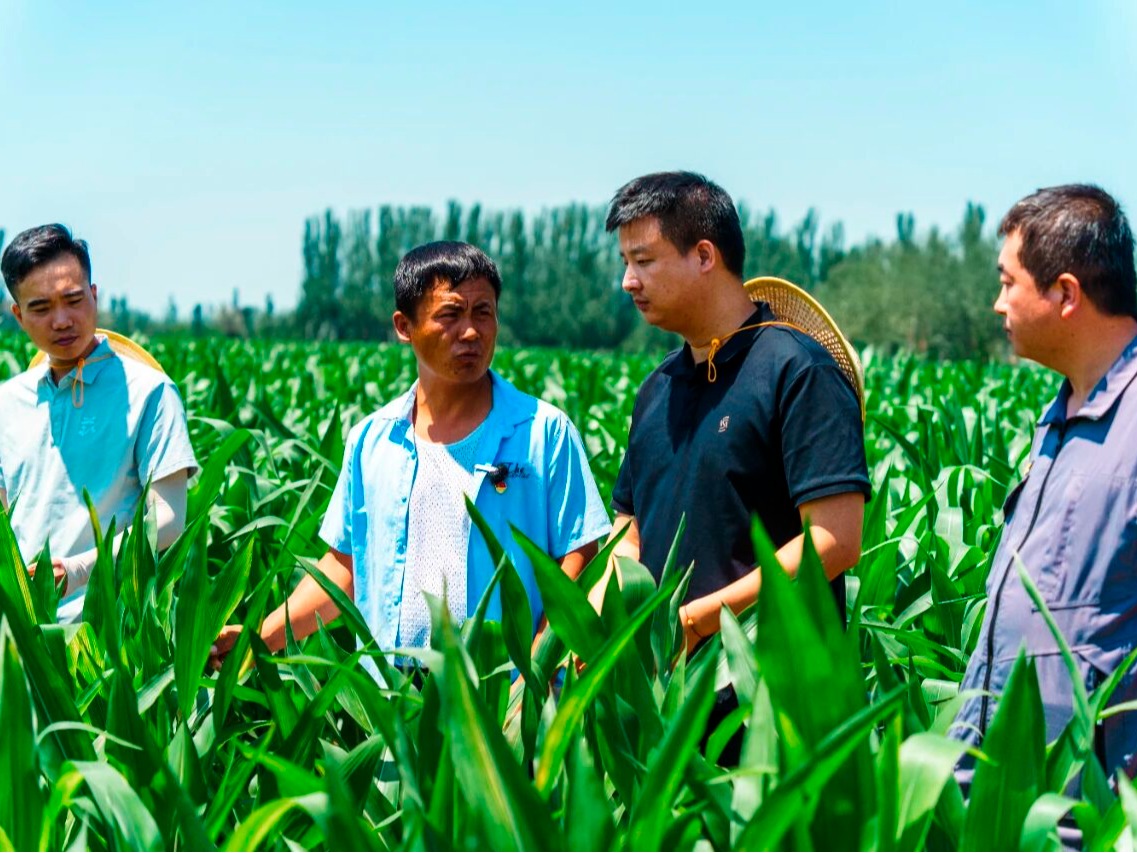 pg娱乐电子游戏