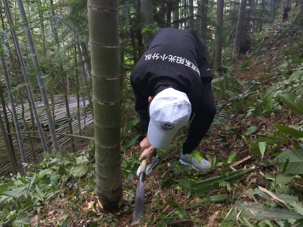 pg娱乐电子游戏