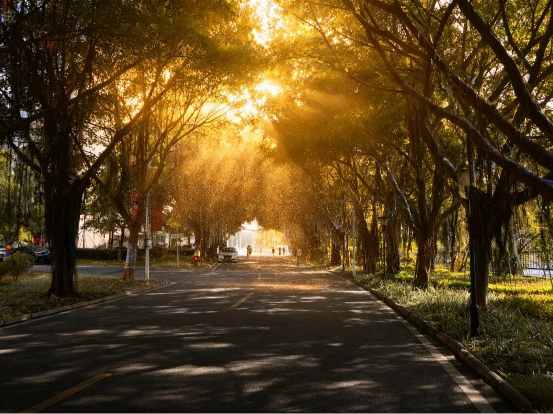 pg娱乐电子游戏