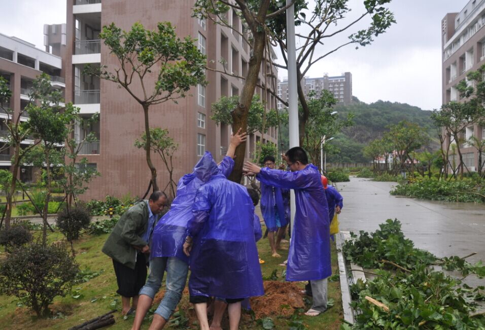 pg娱乐电子游戏